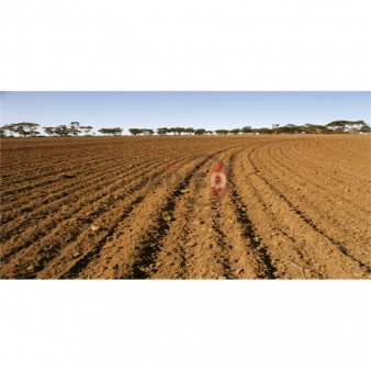 Soil Testing