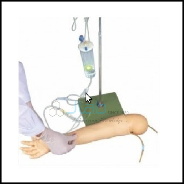 Multifunctional Child IV Training Arm Model