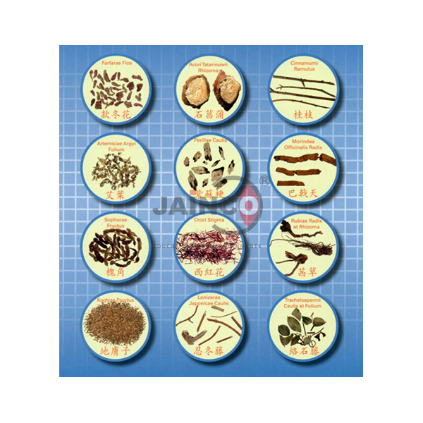 Malarial Parasites of Man Model