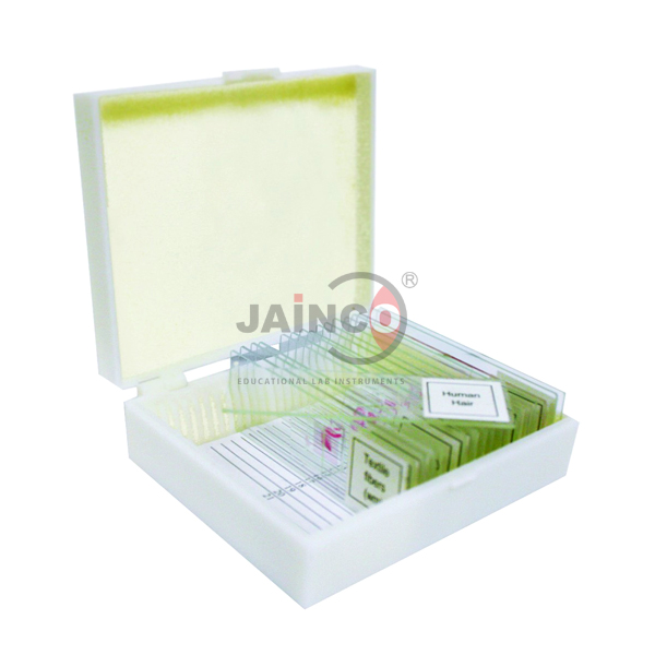 Basic Zoology Prepared Slide Set
