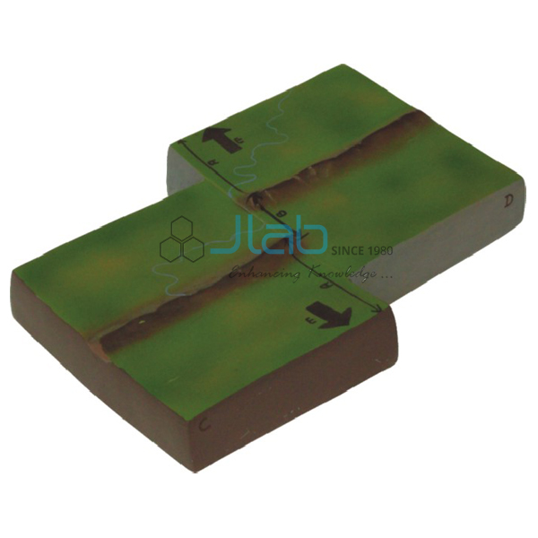 Convergent Plate Boundaries Model